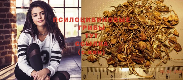 PSILOCYBIN Алексеевка