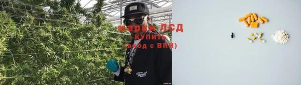 PSILOCYBIN Алзамай
