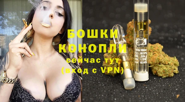 гашик Пересвет