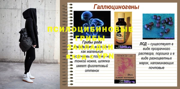 PSILOCYBIN Алексеевка