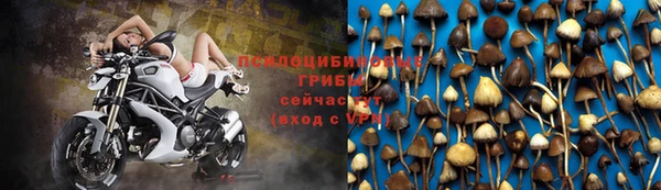 PSILOCYBIN Алексеевка