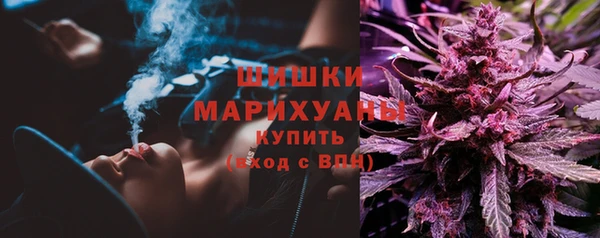 PSILOCYBIN Алзамай