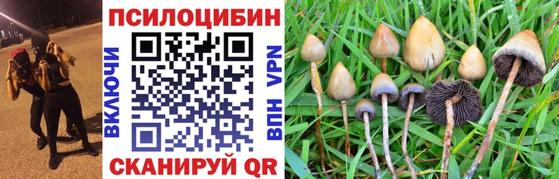 Псилоцибиновые грибы мухоморы  Дубна 