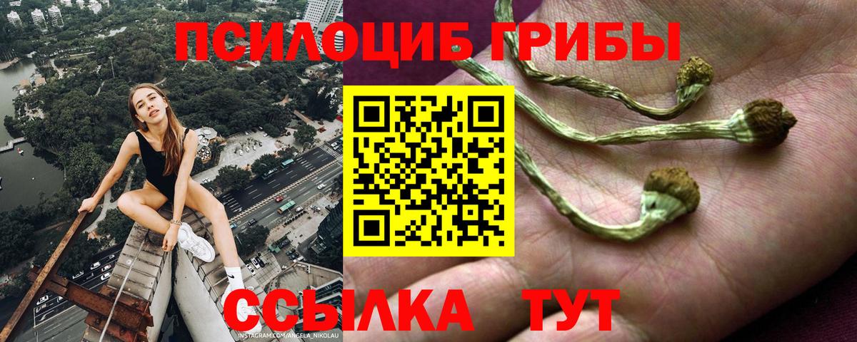 Галлюциногенные грибы MAGIC MUSHROOMS  Псилоцибиновые грибы прущие грибы  Вход с VPN  Дубна 