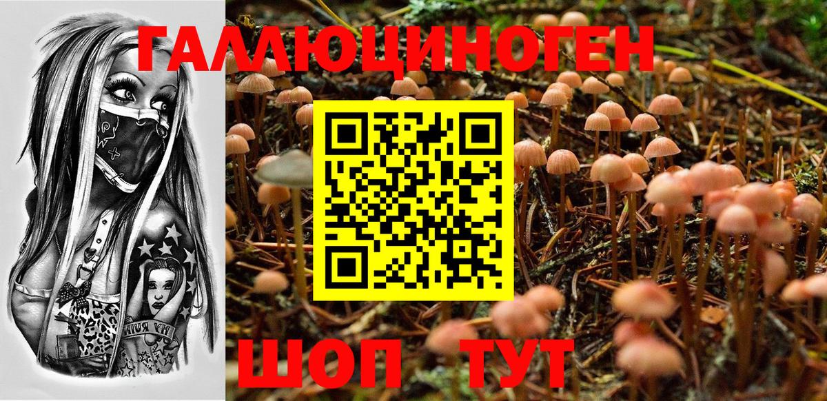 Псилоцибиновые грибы MAGIC MUSHROOMS Дубна